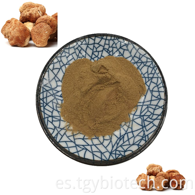 Lions Mane Extract powder